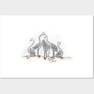 Ostrich Gathering Posters and Art